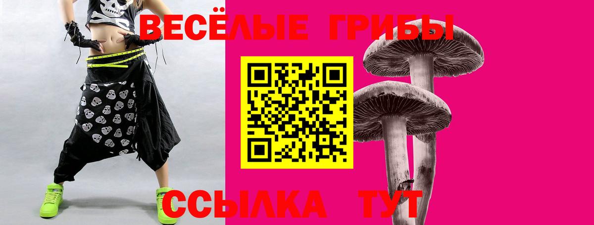Кропоткин  Галлюциногенные грибы мицелий  Вход с VPN 